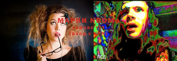 стаф Белоозёрский