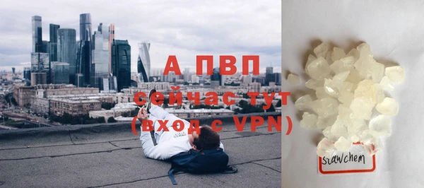 стаф Белоозёрский