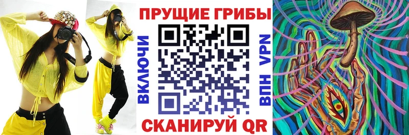 Галлюциногенные грибы прущие грибы Купить где Темрюк